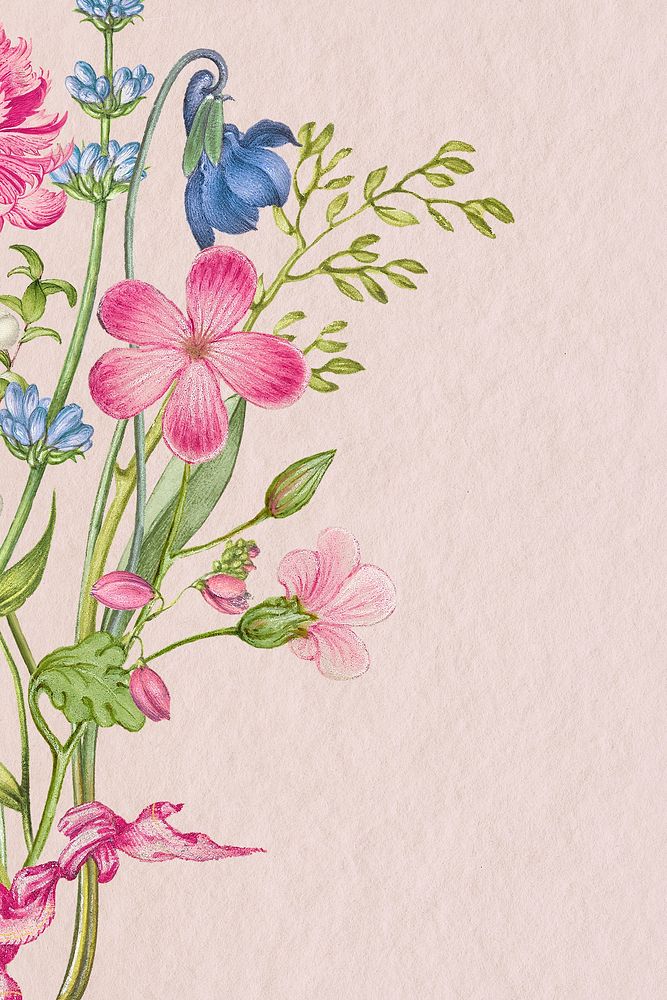 Pink floral background in pastel paper texture style, remixed from artworks by Pierre-Joseph Redout&eacute;