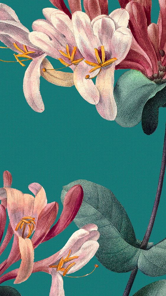 Flower name phone wallpaper illustration, remixed from public domain artworks