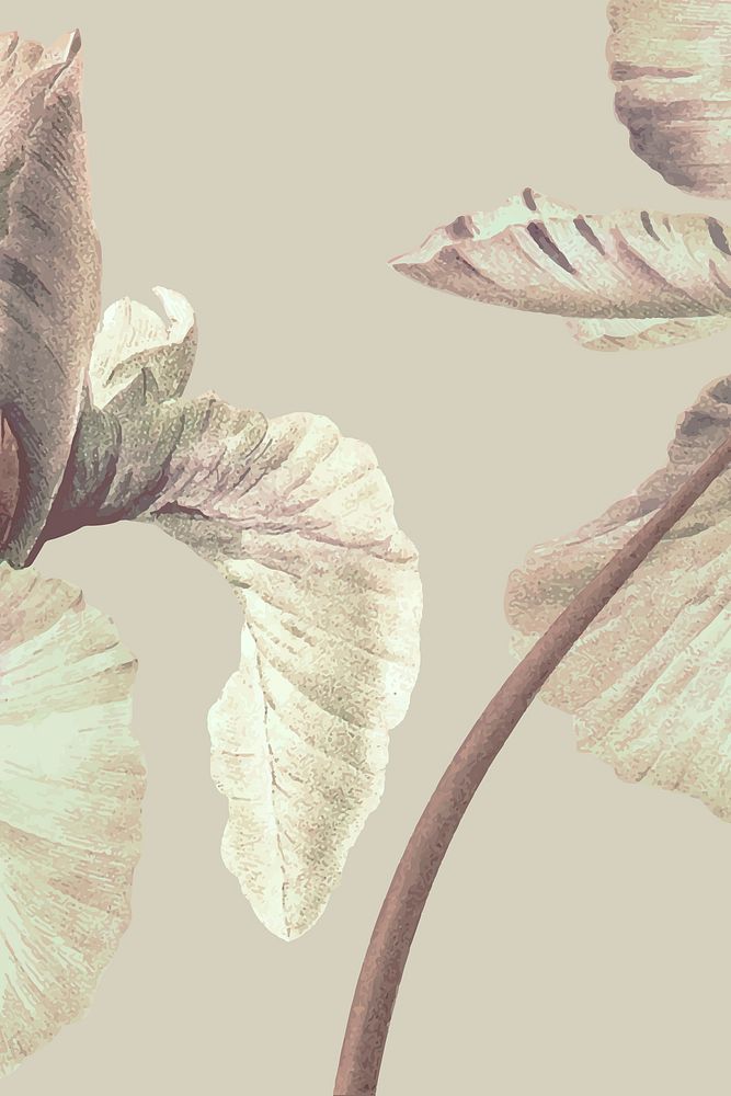 Vintage iris flower background vector illustration, remixed from public domain artworks