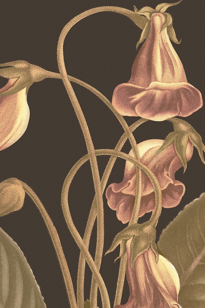 Vintage floral background with gloxinia flower illustration, remixed from public domain artworks