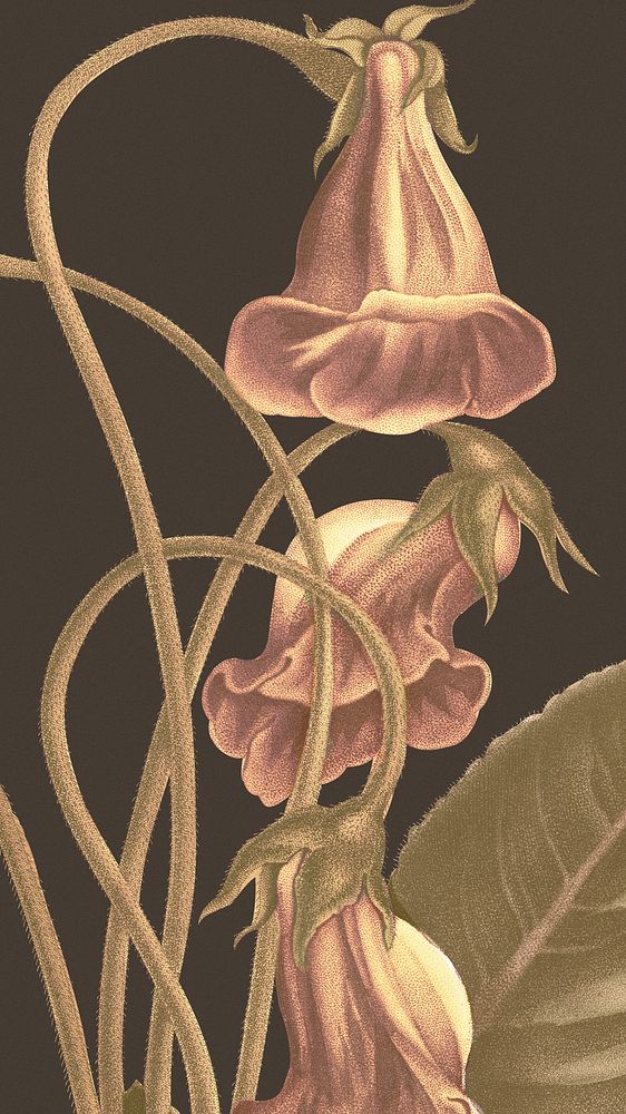 Vintage floral mobile wallpaper illustration, remixed from public domain artworks