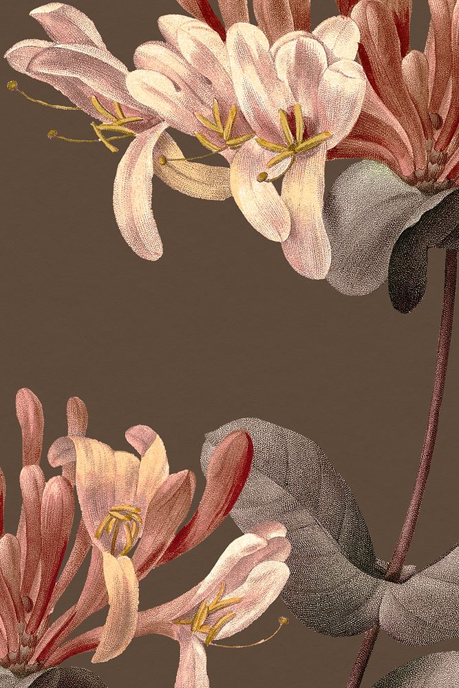 Vintage spring flower background illustration, remixed from public domain artworks