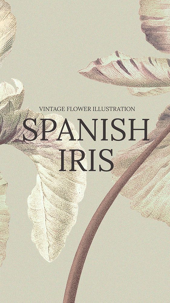 Spanish iris flower background illustration, remixed from public domain artworks