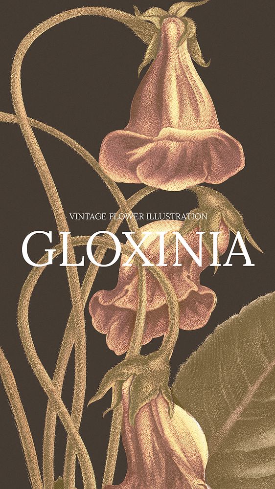 Vintage gloxinia hand drawn background illustration, remixed from public domain artworks