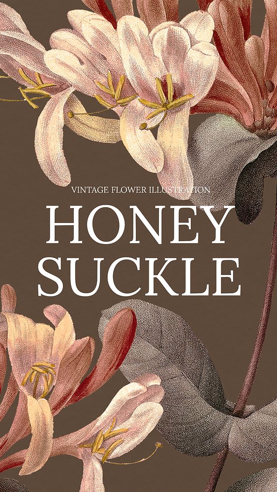Vintage honeysuckle flower background illustration, remixed from public domain artworks