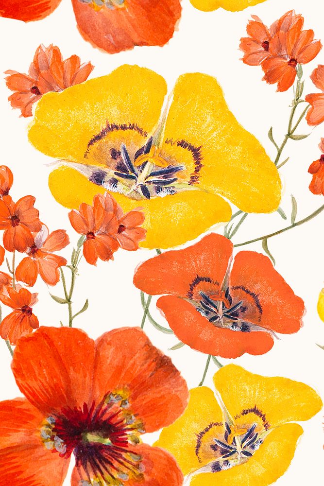 Mariposa lily flower pattern background, remixed from public domain artworks