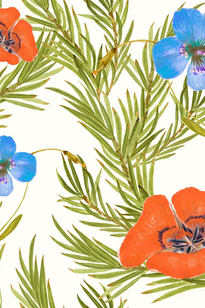 Mariposa lily flower pattern background, remixed from public domain artworks
