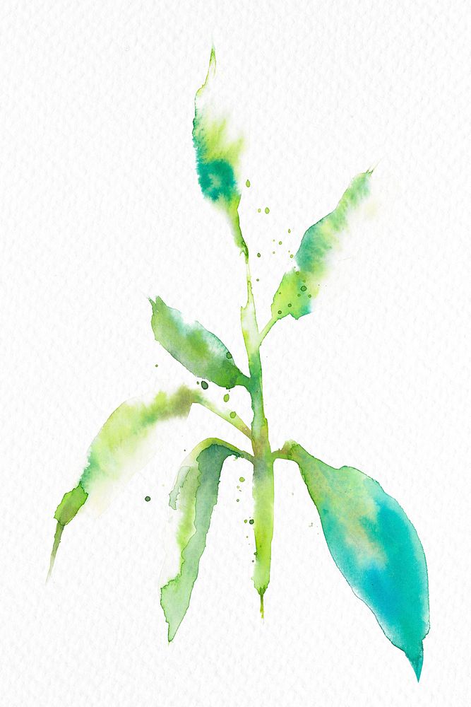 Watercolor leaf green floral spring seasonal graphic