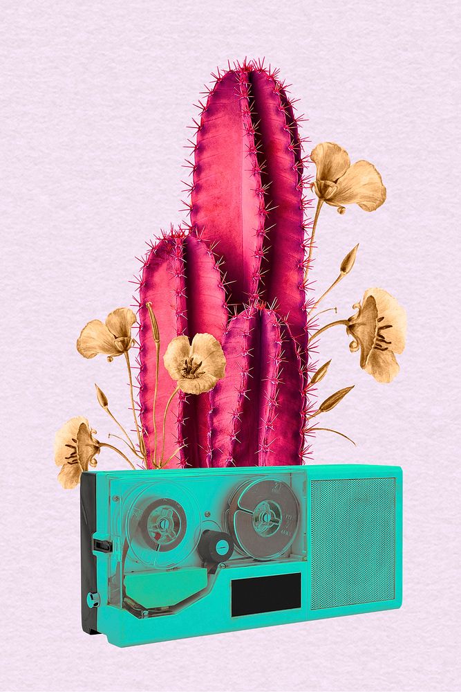 Collage pink cactus retro illustration, printable collage mixed media art