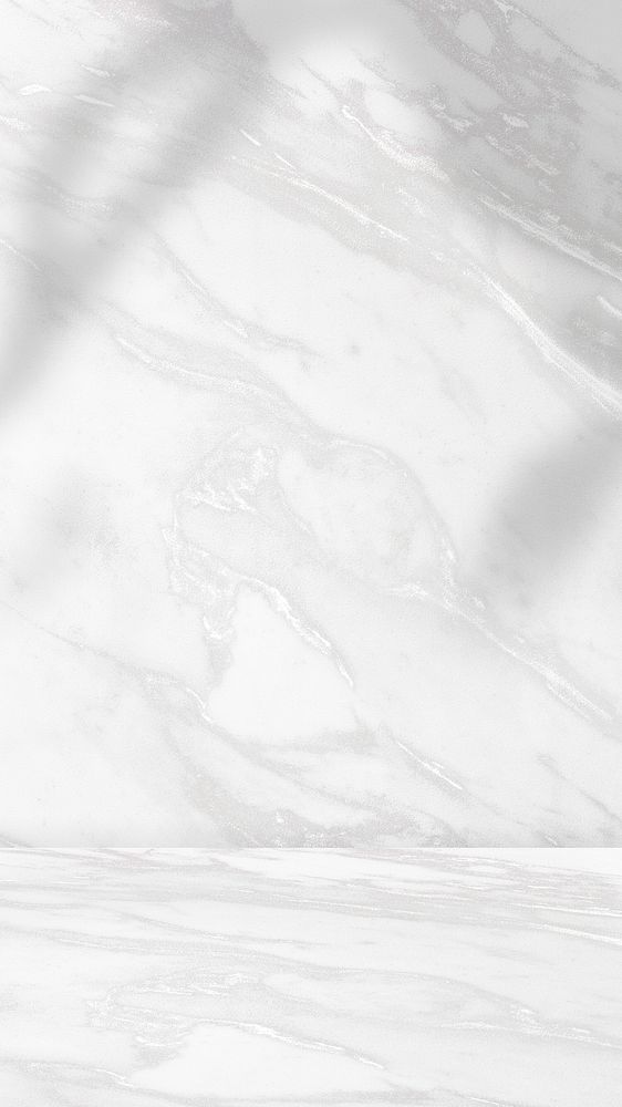 Marble product backdrop with plant shadow
