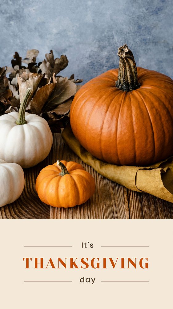 Thanksgiving pumpkin vector background template for social media story