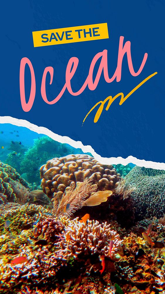 Coral reefs Instagram story template, environmental campaign vector