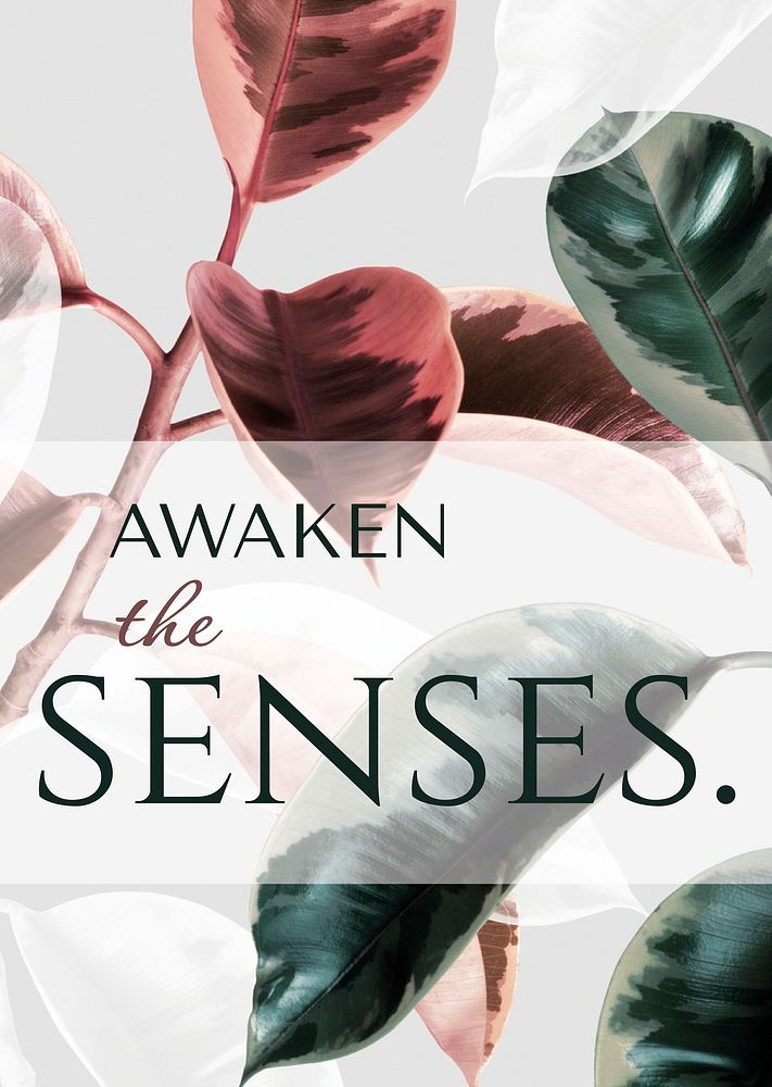 Leaf aesthetic poster template, awaken the senses quote psd