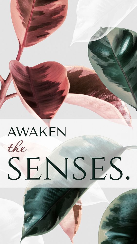Leaf aesthetic Instagram story template, awaken the senses quote vector
