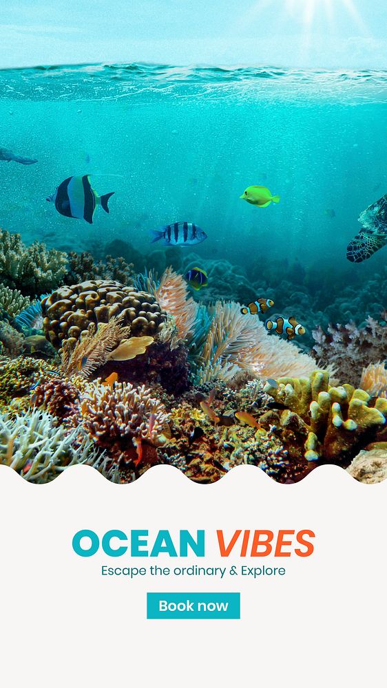 Ocean adventures Facebook story template,  summer travel vector