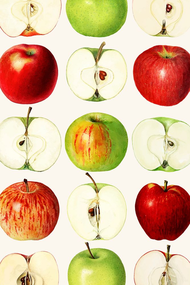 Green apple background, vintage illustration