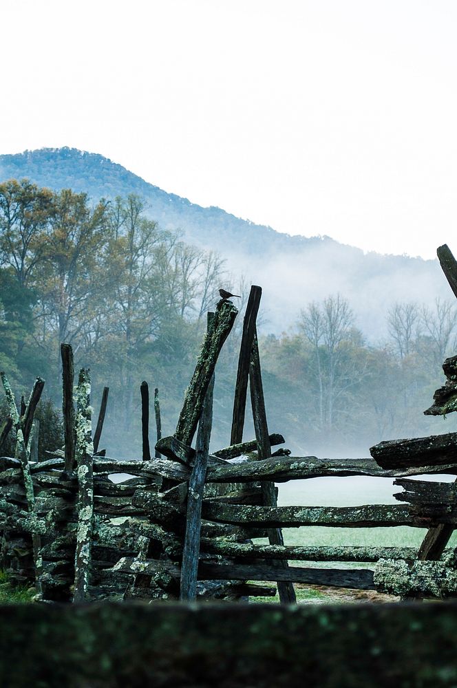 A wood fence in a foggy landscape.. Original public domain image from Wikimedia Commons