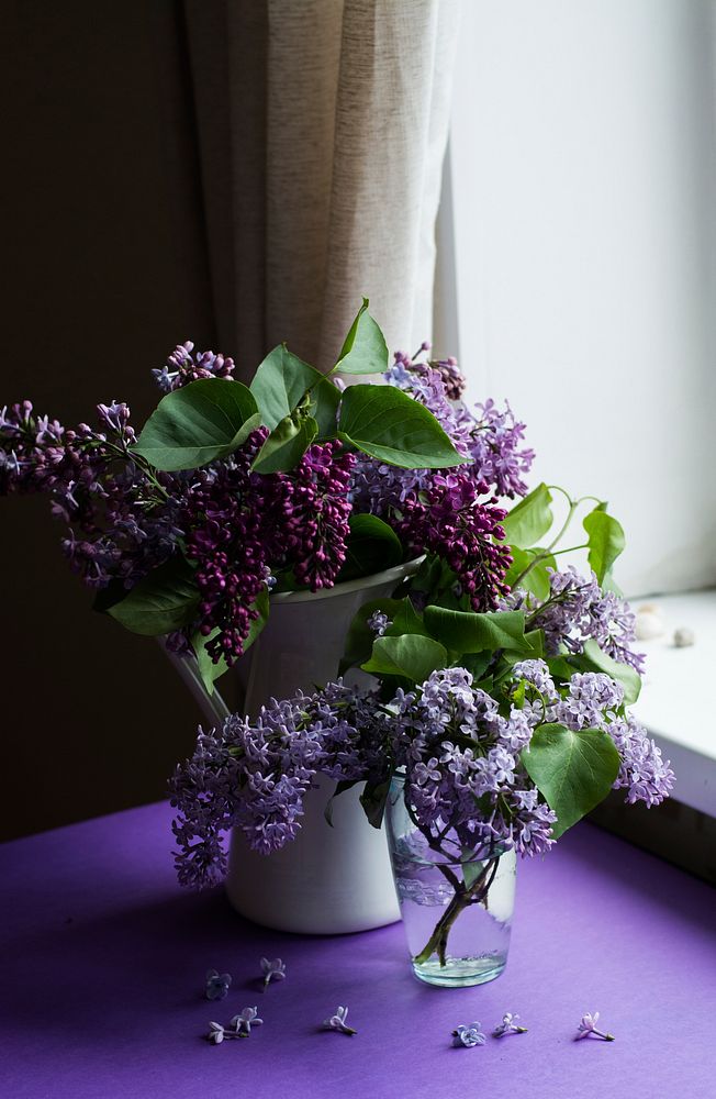 Two vases full of lilac flowers on a table near a windowsill. Original public domain image from Wikimedia Commons