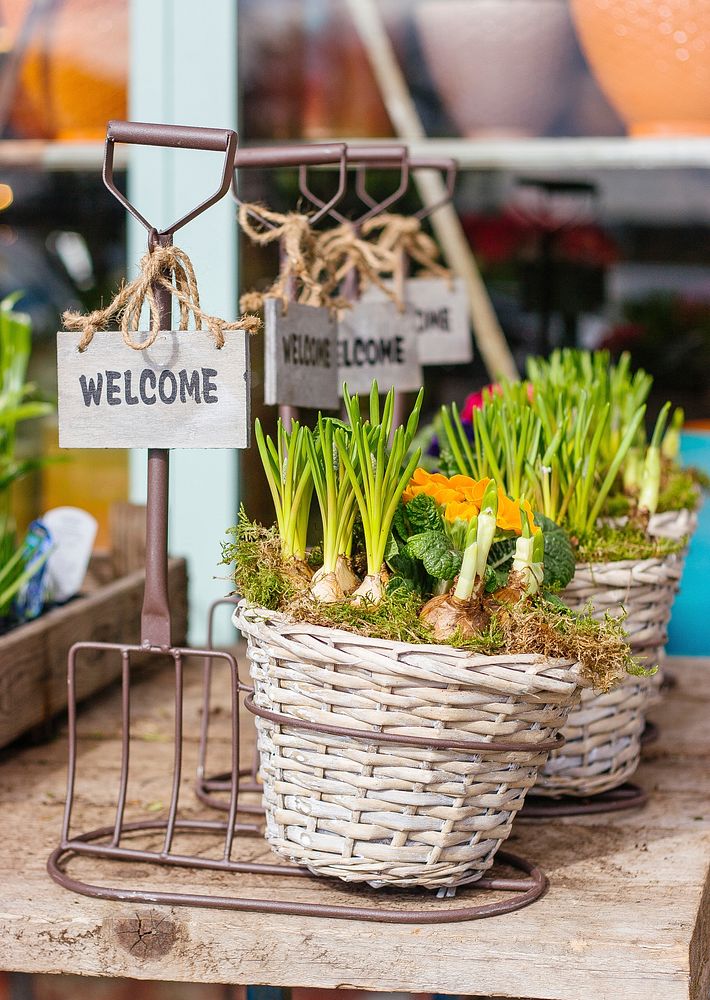 Twine basket with welcome sign at garden market with plants in Spring. Original public domain image from Wikimedia Commons