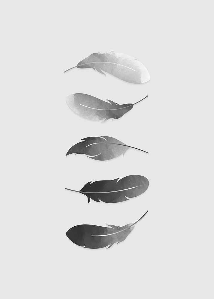 Gray watercolor lightweight feather collection vectors