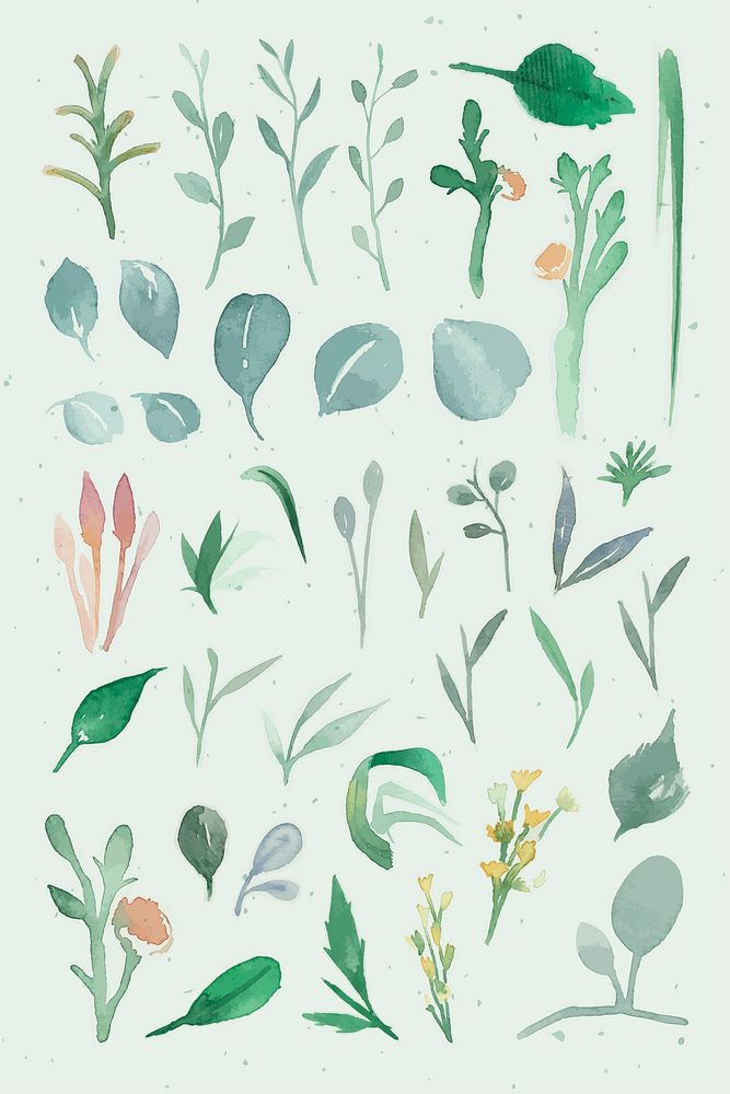 Watercolor tropical leaf vector collection