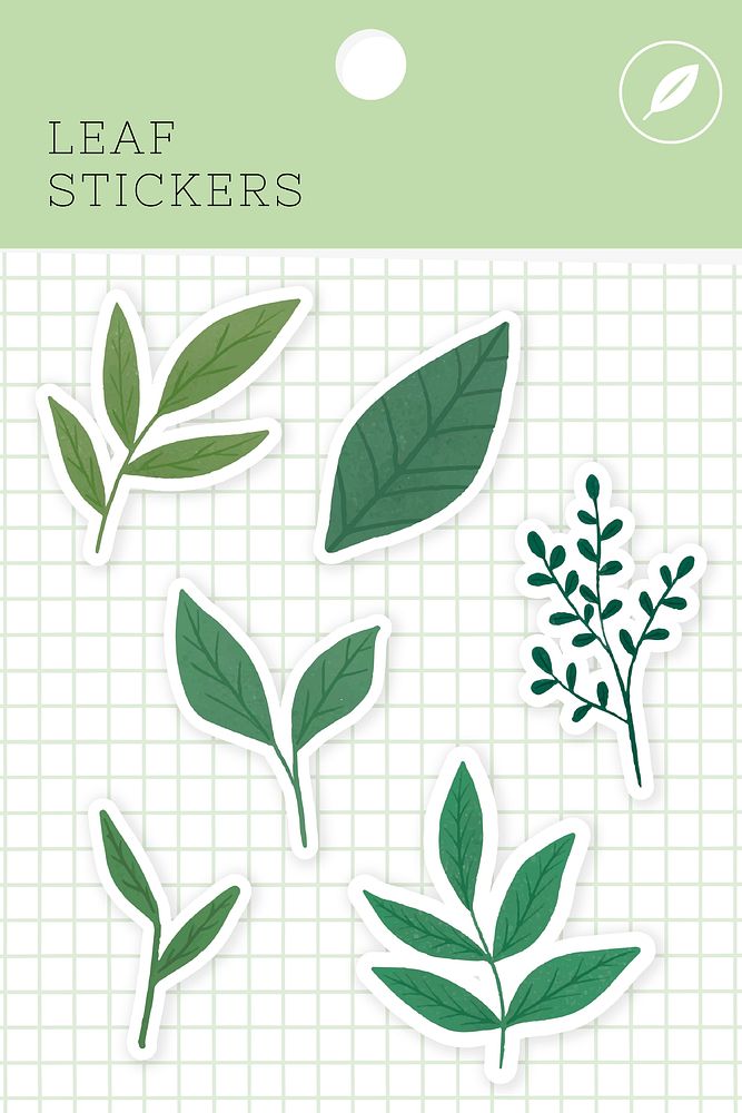 Leaf stickers package illustration