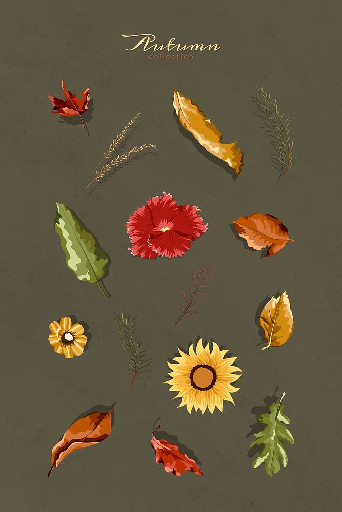 Autumn design elements vector set