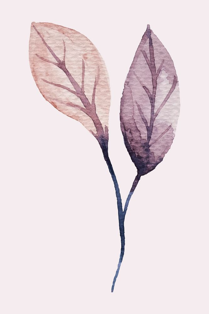 Hand painted purple watercolor leaf vector