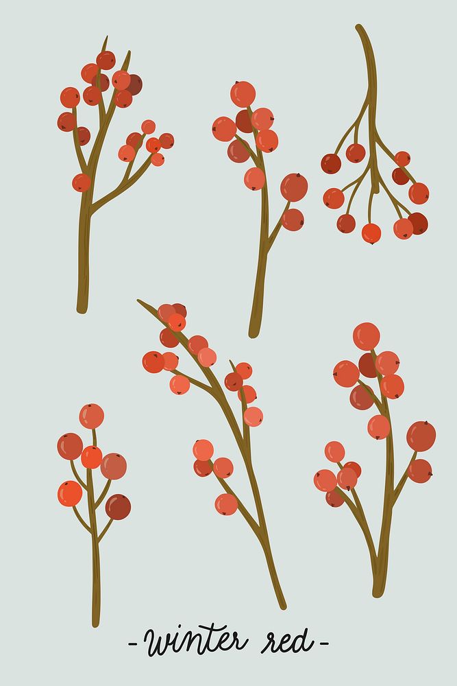 Red winterberry ornament collection vector