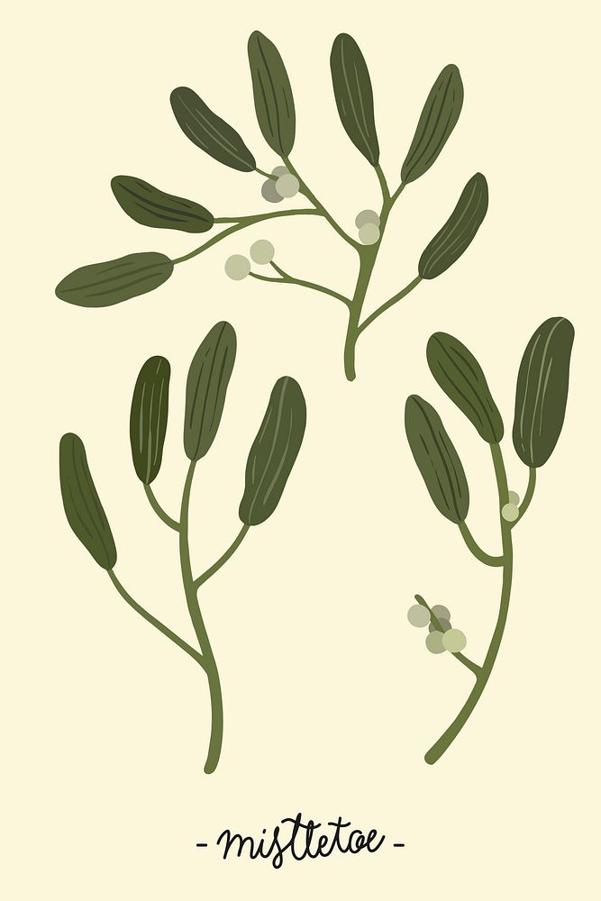 Leafy botany plant on a yellow background illustration
