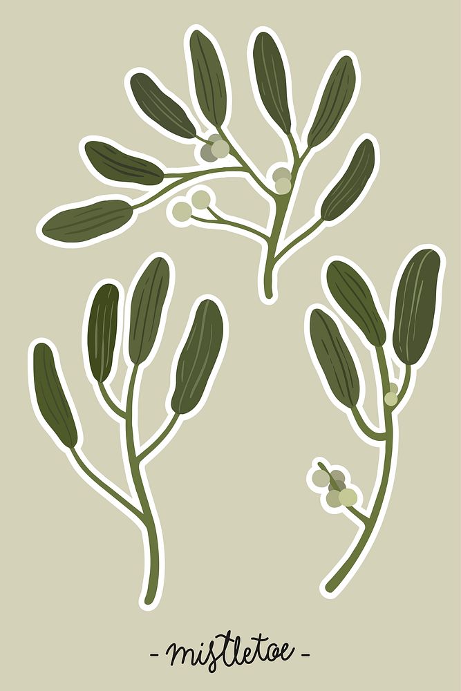 Mistletoe with berry element illustration