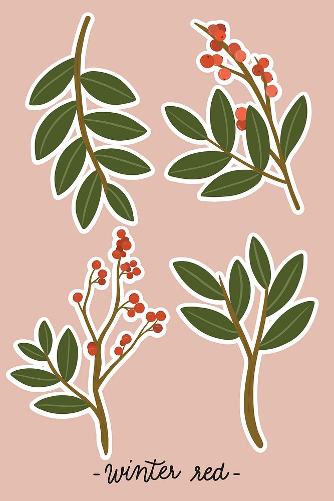 Winterberry branches set vector