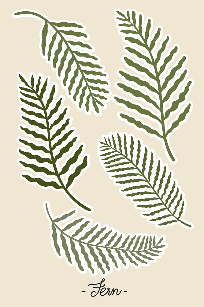 Fern branches set on beige background