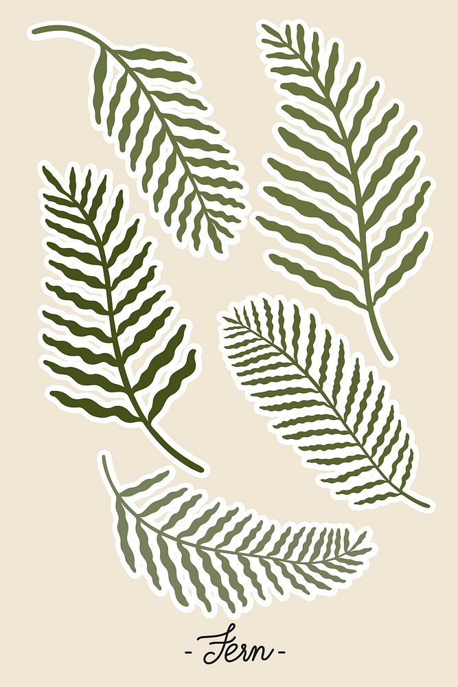 Fern branches set on beige background vector