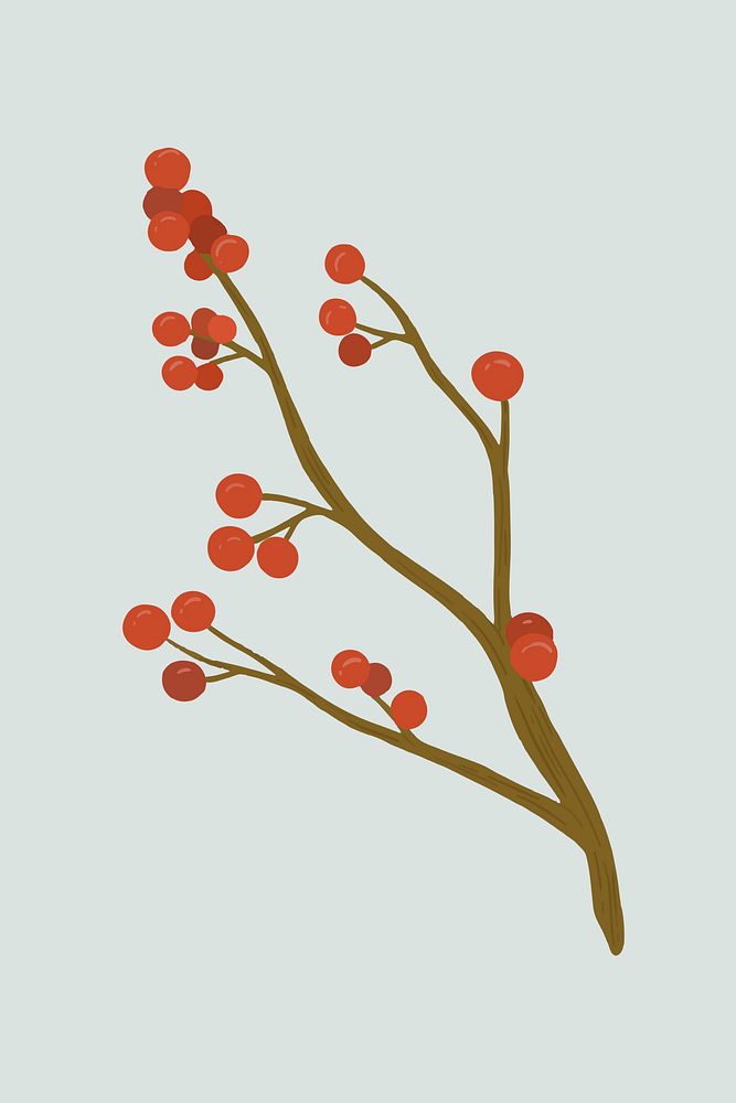 Red winterberry on a gray background illustration