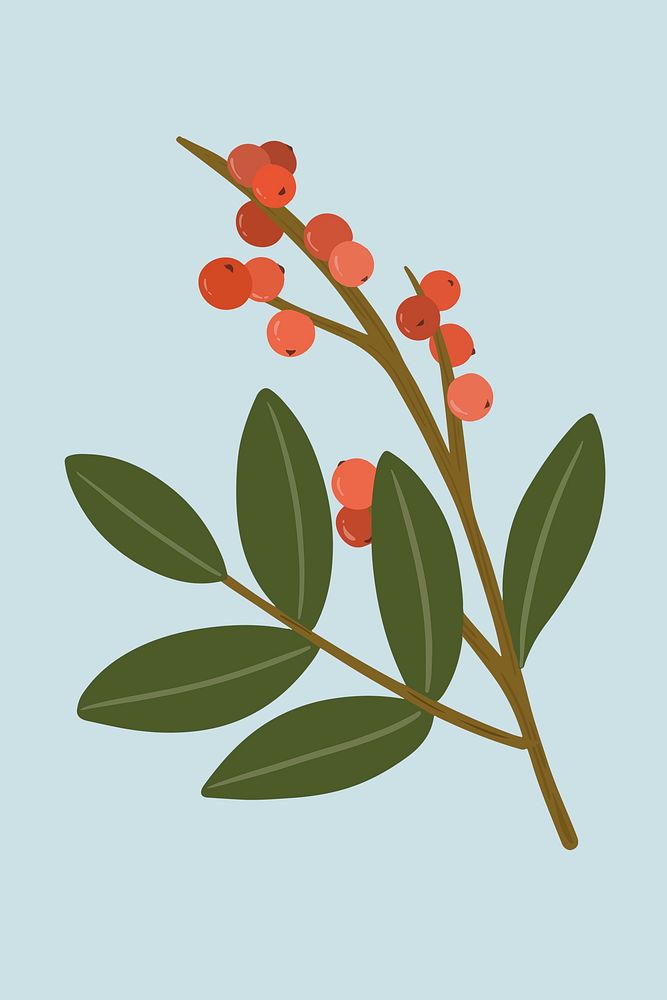 Red winterberry on a blue background illustration