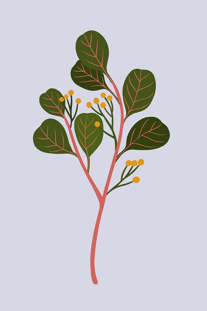 Botanical eucalyptus on a purple background illustration