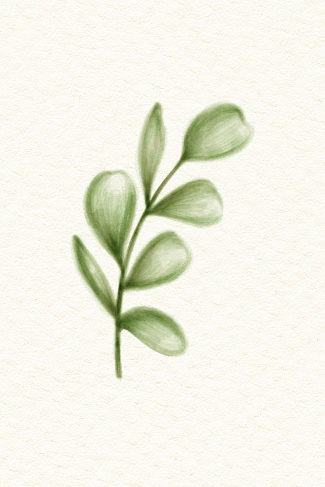 Hand drawn green leaves illustration