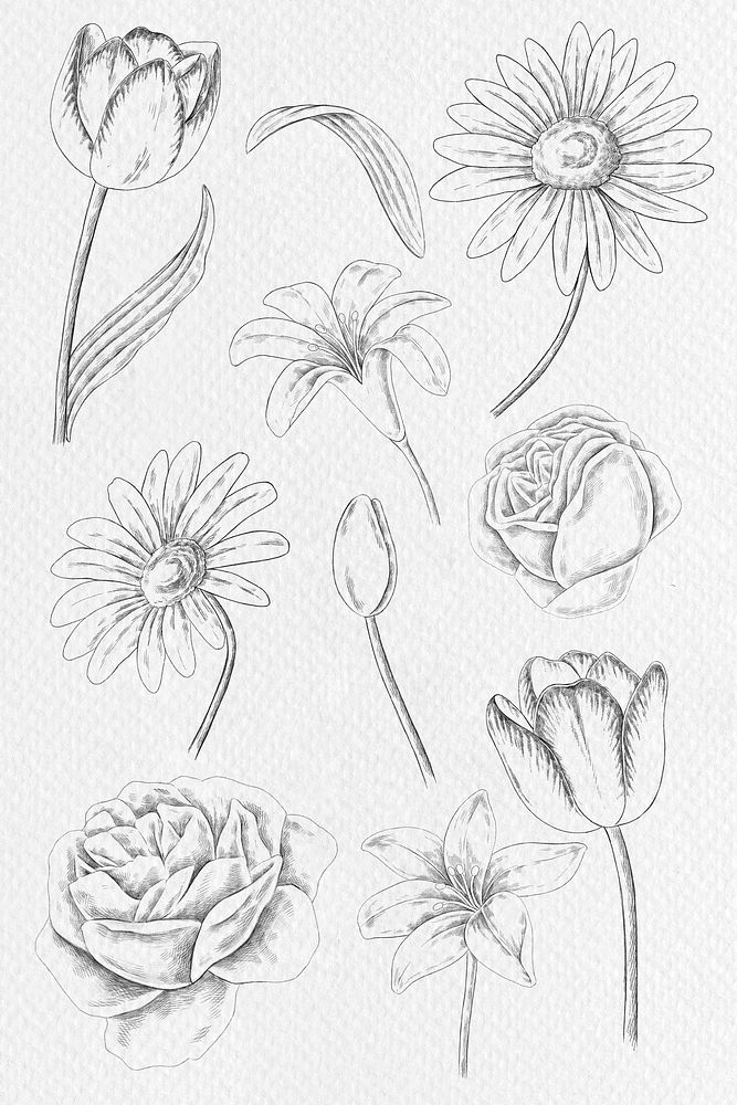 Vintage flower drawing set mobile phone wallpaper illustration mockup