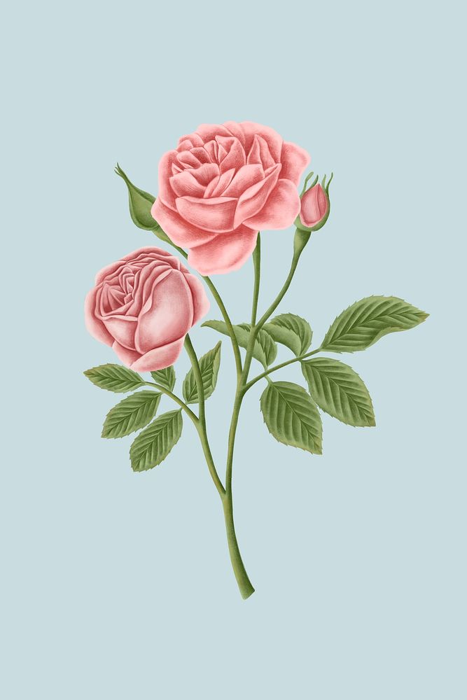 Vintage rose flower mobile phone wallpaper illustration mockup