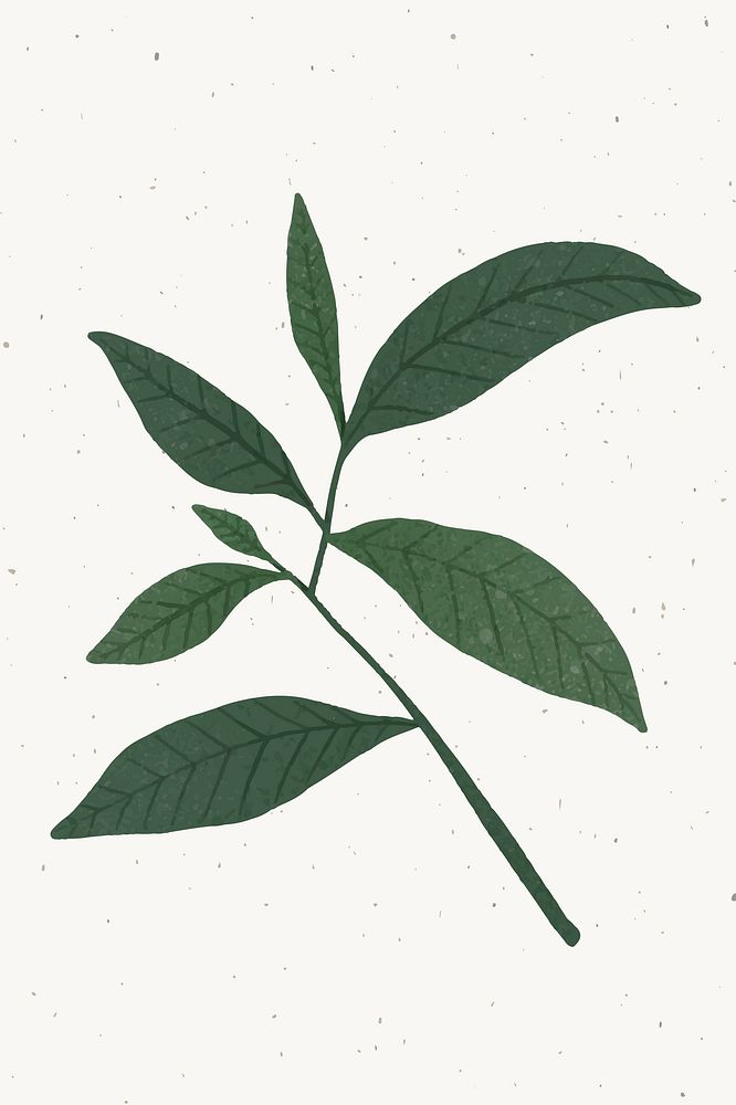 Branch with green leaves design element