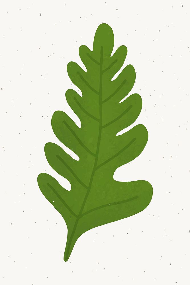 Green oak leaf design element vector