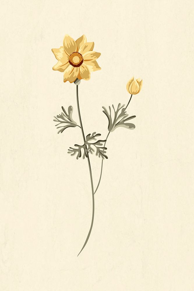 Blooming yellow flower vector 