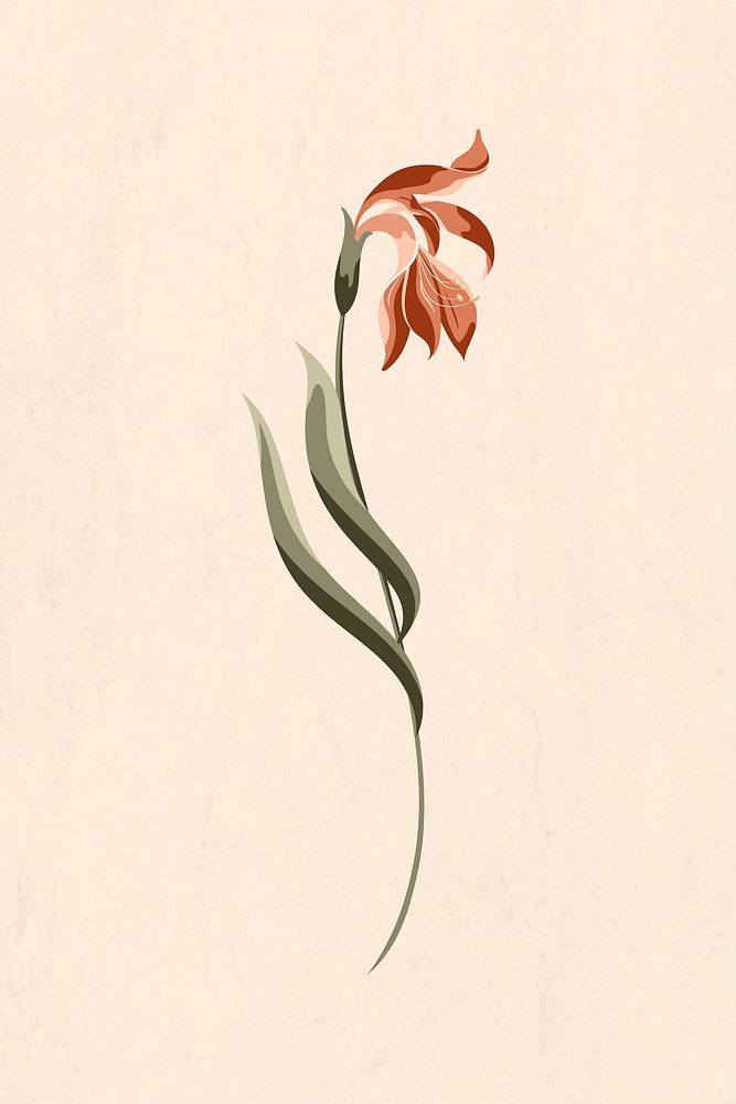 Red lily daffodil flower vector 