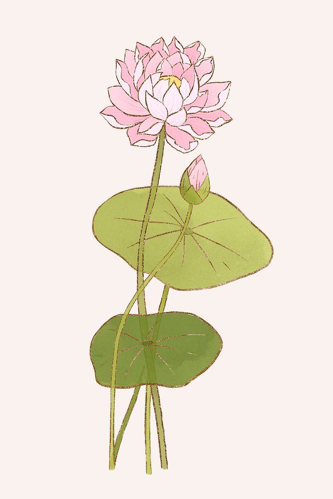 Hand drawn batik water lily design element psd