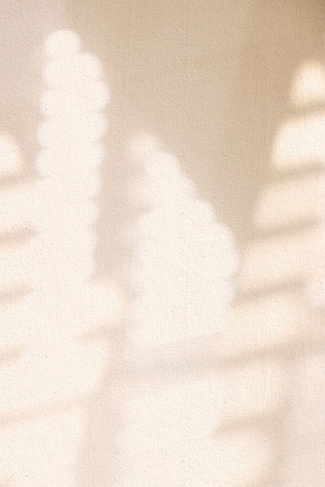 Aesthetic window shadow beige on texture background
