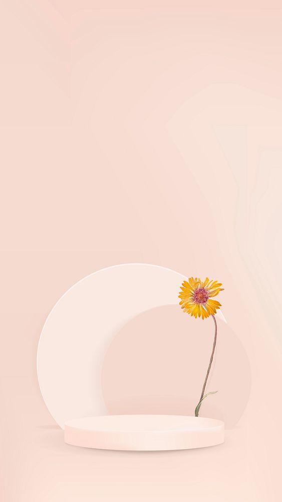 3D simple product backdrop vector with podium and yellow daisy