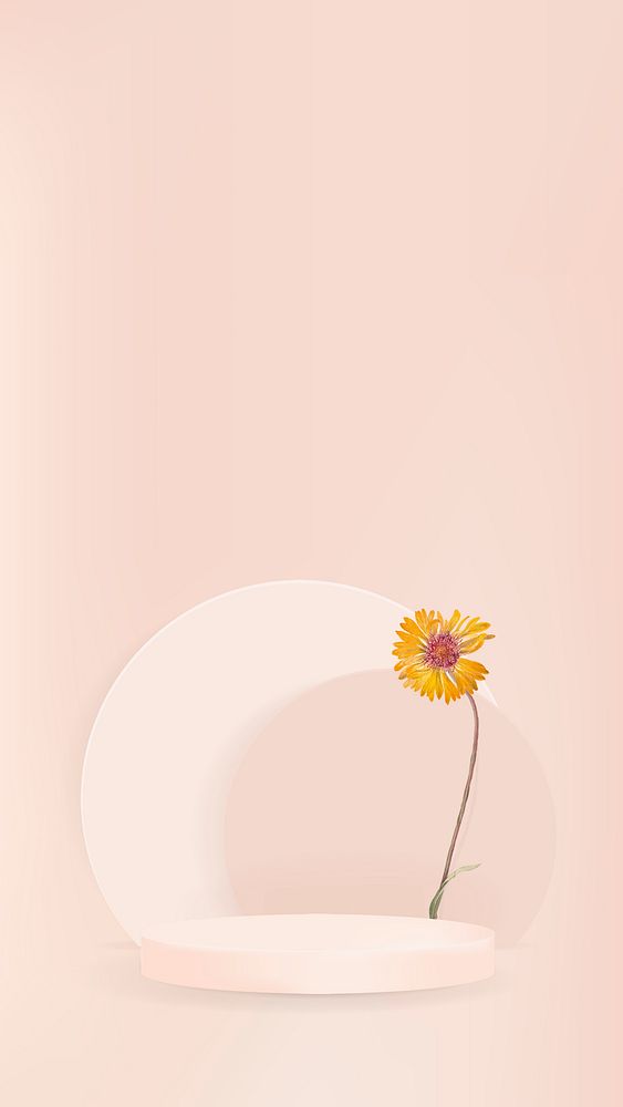 3D product backdrop psd simple style with white and yellow daisy