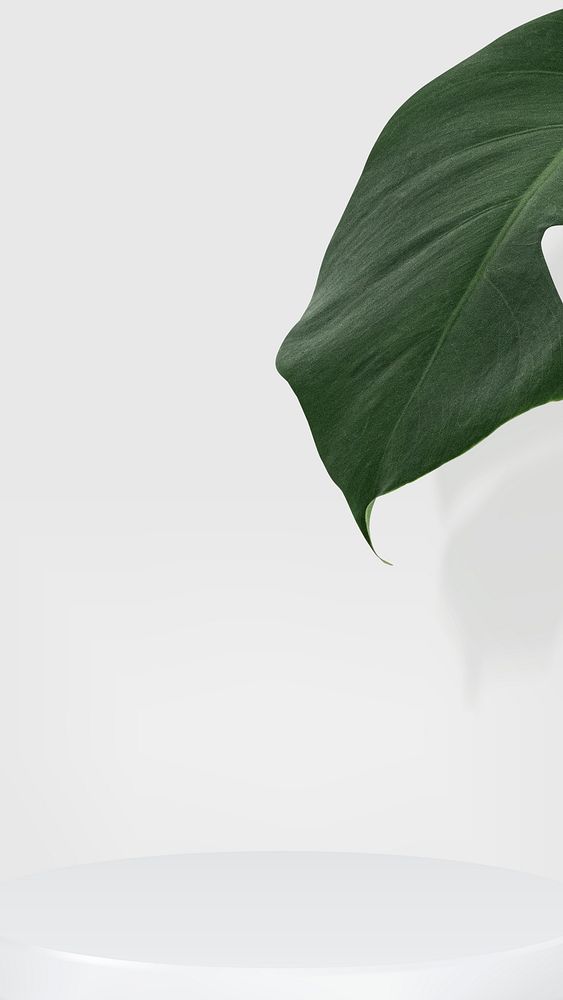 3D simple product backdrop psd with podium and monstera leaf