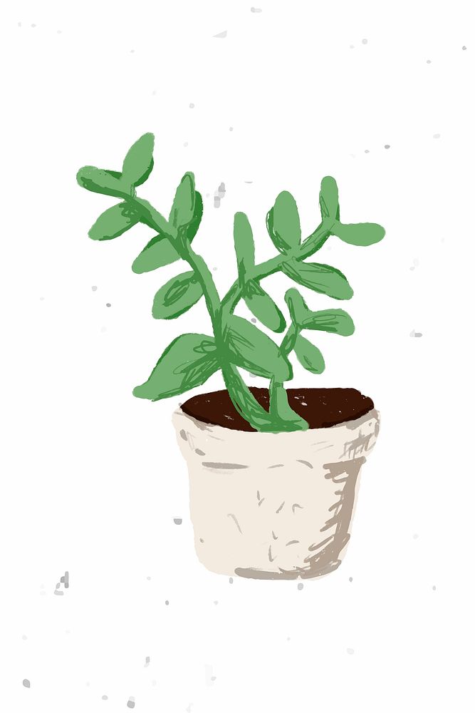 Cute potted plant element Senecio crassissimus in hand drawn style